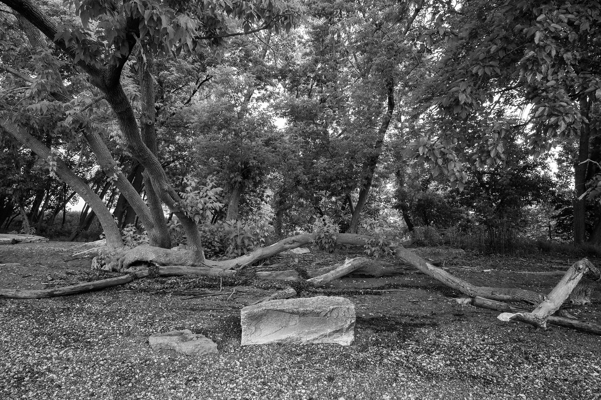 “The Sitting Rock” is a place I return to often to think, write, meditate and connect with the natural world.