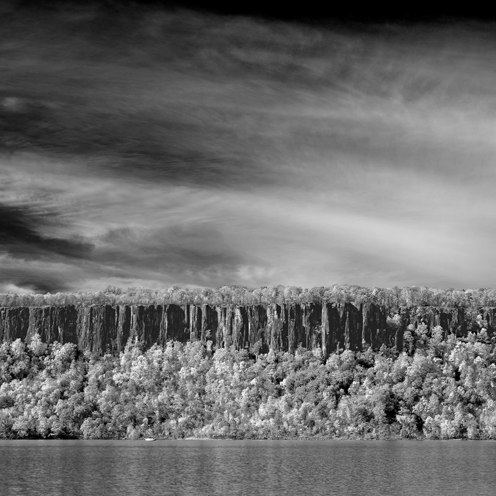 White Leaves-Palisade Sky