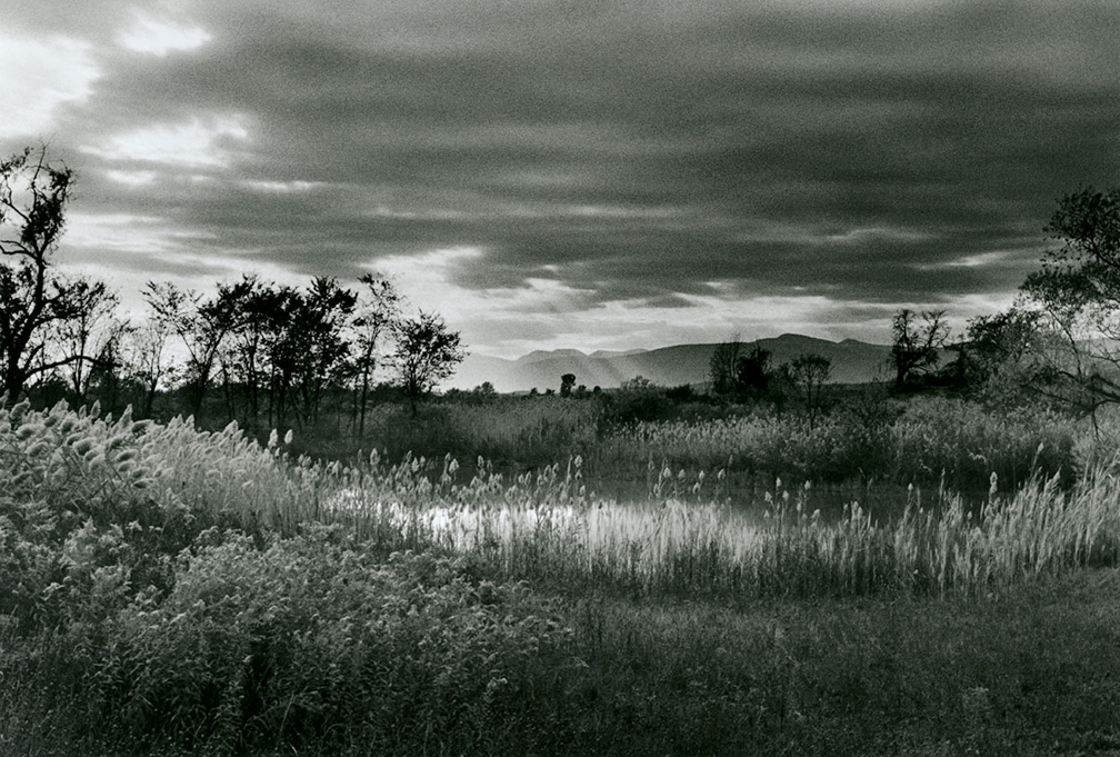 The Clearing Near Olana