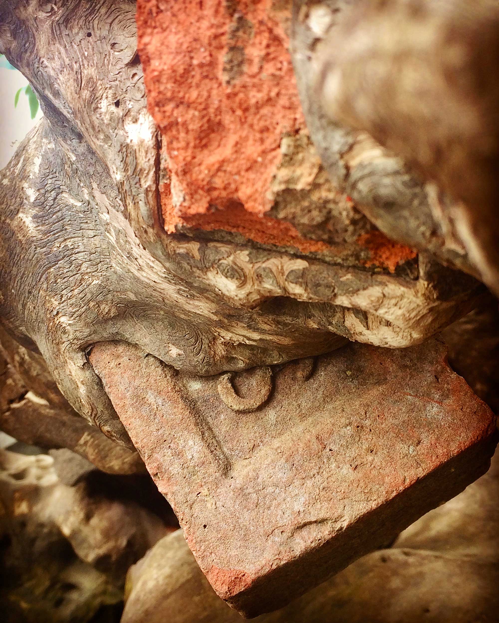 new-balt_brick-roots