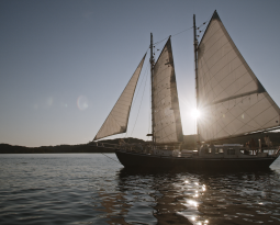 WindShipped